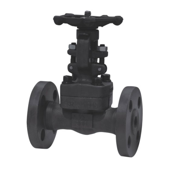 API JIS Forged Steel Flange Gate Valve